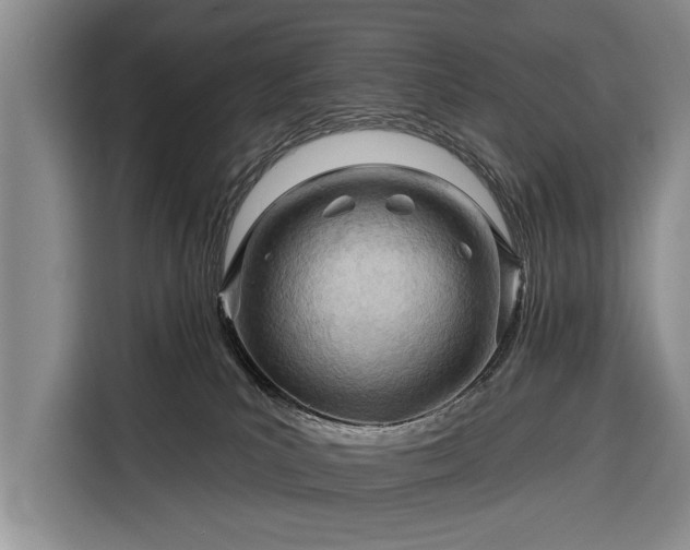 X0000116320039200912091028