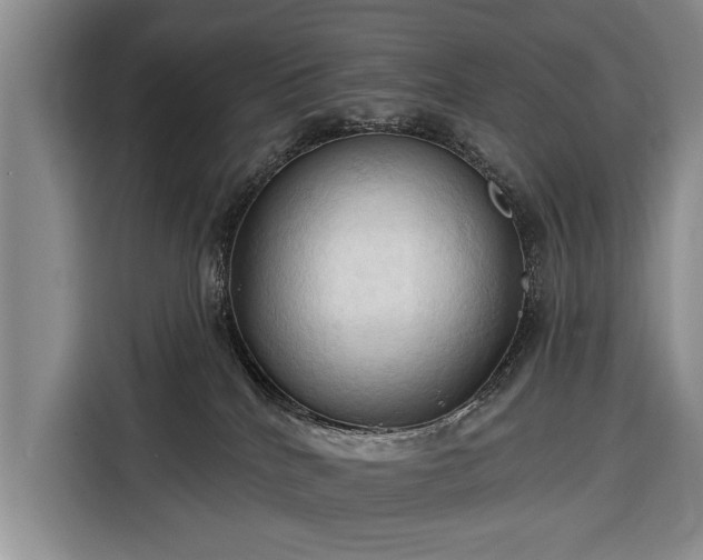 X0000116320040200912091028