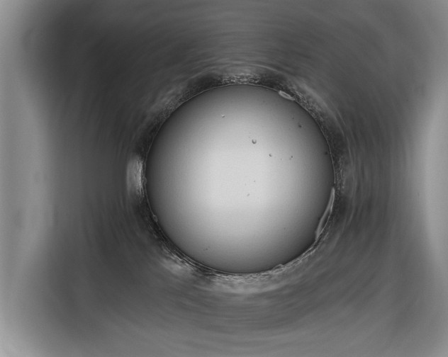 X0000116320041200912091028