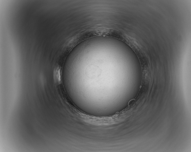 X0000116320042200912091028