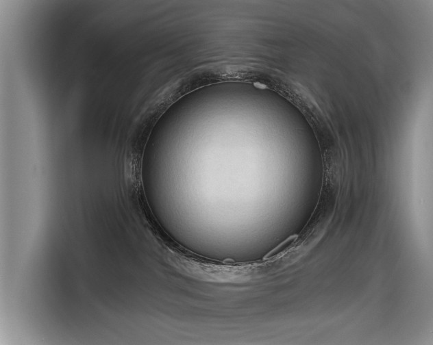 X0000116320044200912091028