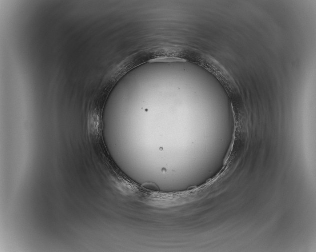 X0000116320045200912091028