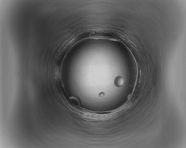 X0000116320048200912091028