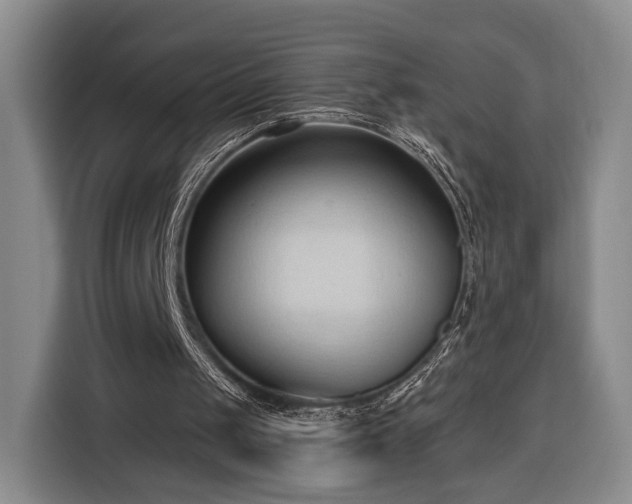 X0000116320049200912091027