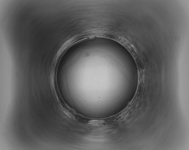 X0000116320051200912091027