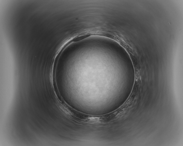 X0000116320052200912091027