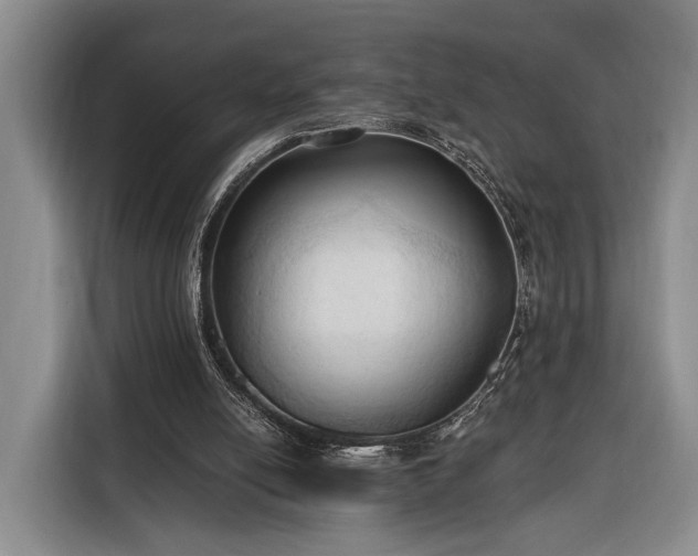 X0000116320054200912091027