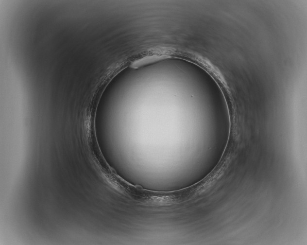 X0000116320057200912091027