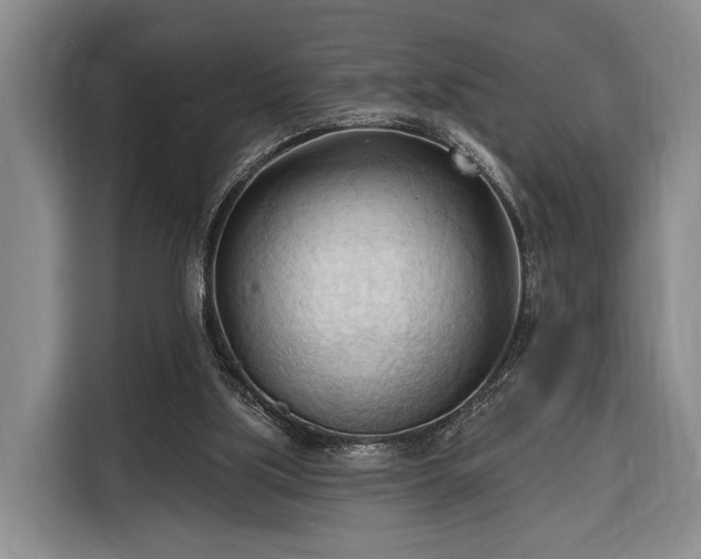 X0000116320059200912091027