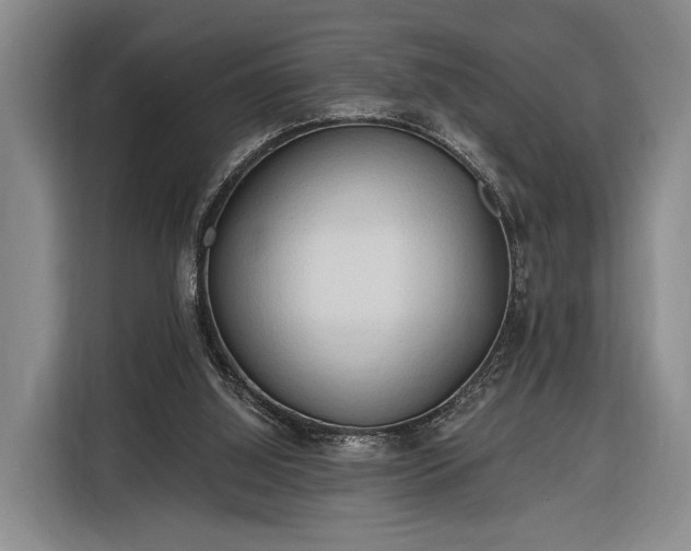 X0000116320060200912091027