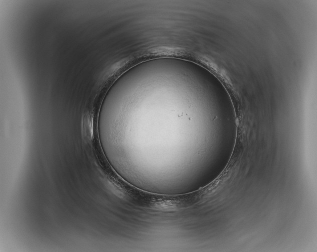 X0000116320062200912091027