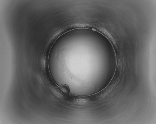 X0000116320063200912091027