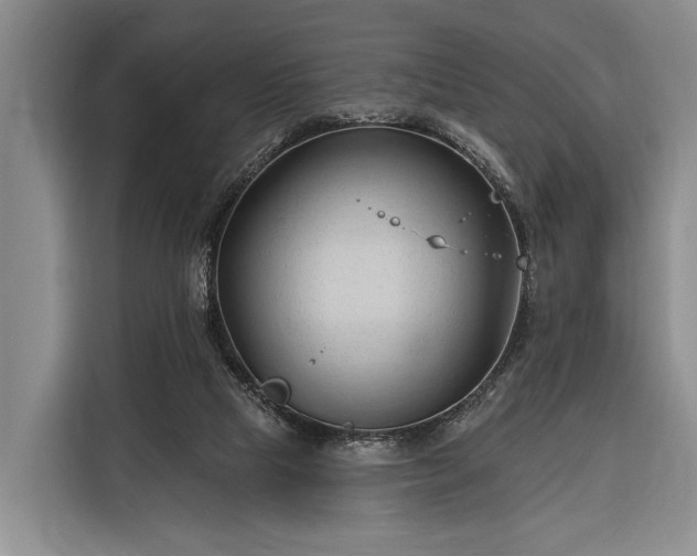 X0000116320065200912091027