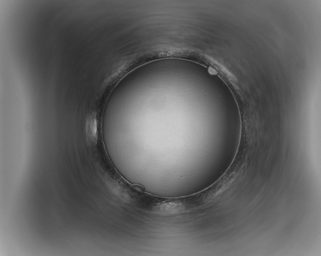 X0000116320067200912091027