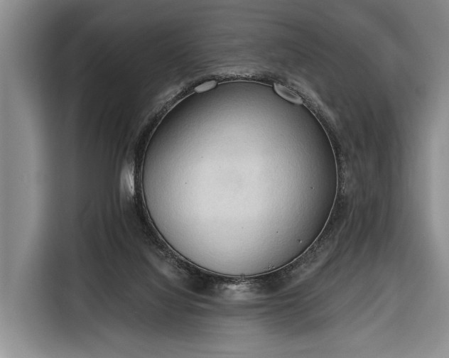 X0000116320068200912091027