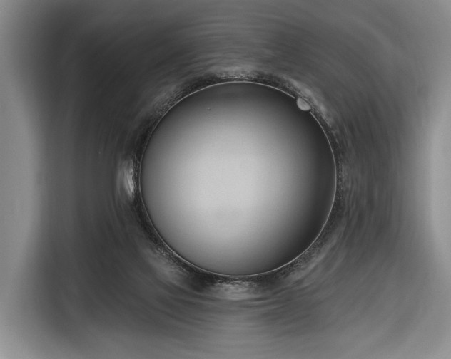 X0000116320069200912091027