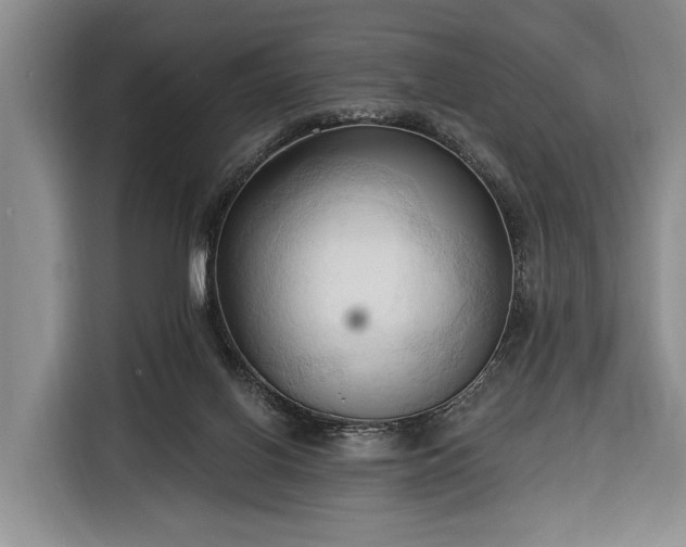 X0000116320070200912091027