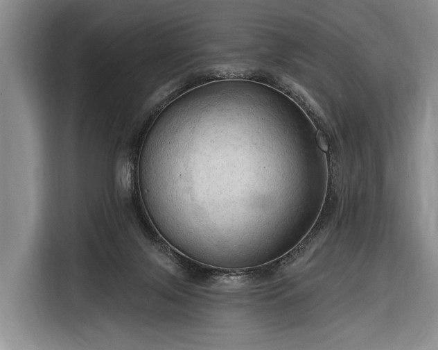 X0000116320071200912091027