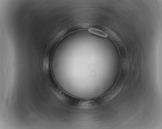 X0000116320072200912091027