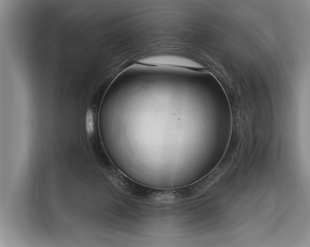 X0000116320075200912091027