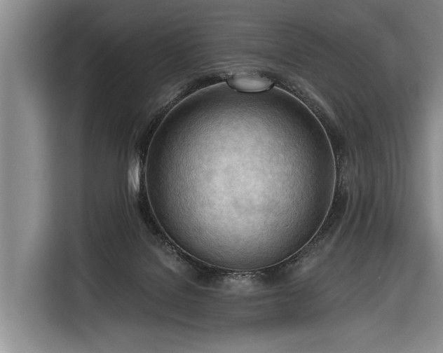 X0000116320076200912091027