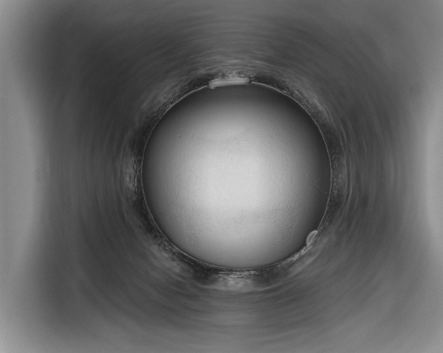 X0000116320078200912091028