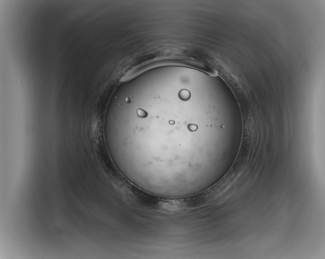 X0000116320079200912091028