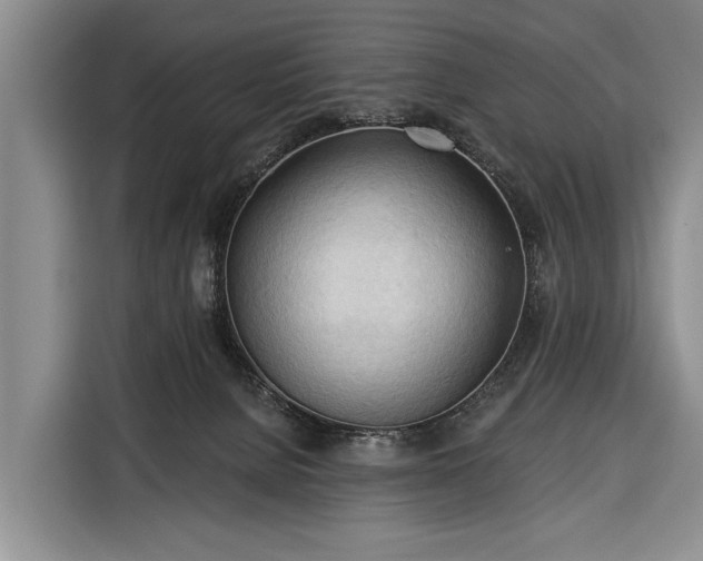 X0000116320080200912091028