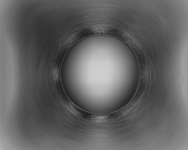 X0000116320081200912091028