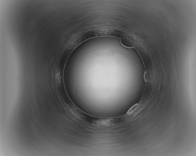 X0000116320086200912091028