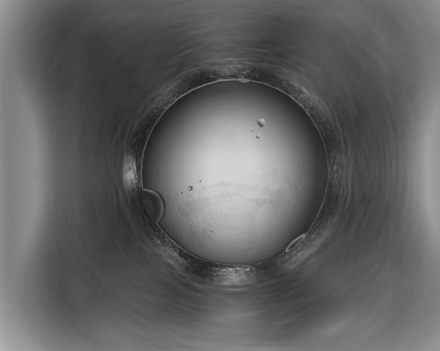 X0000116320089200912091028