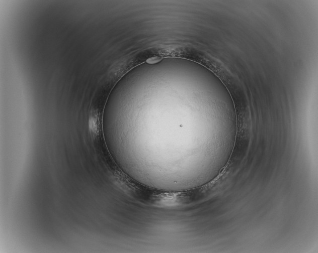 X0000116320090200912091028