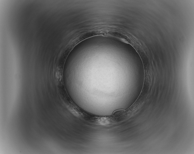 X0000116320091200912091028