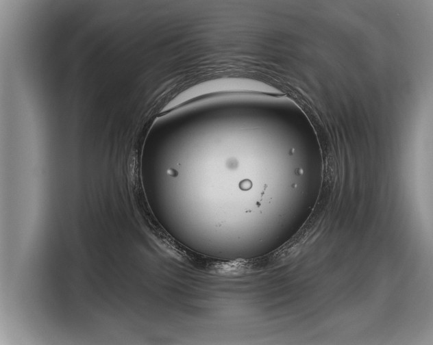 X0000116320092200912091028