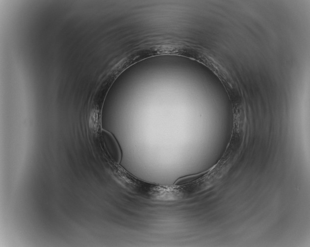 X0000116320093200912091028