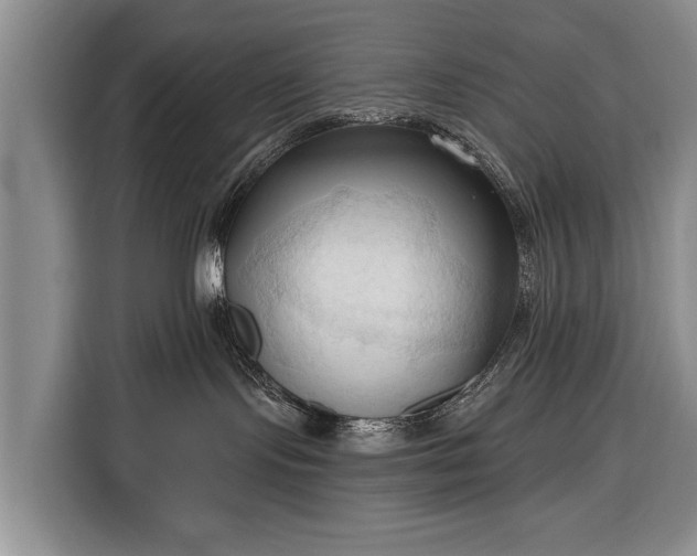 X0000116320095200912091028