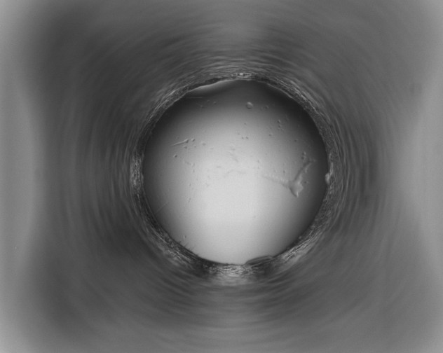 X0000116320096200912091028