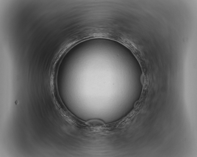 X0000116320098200912091027