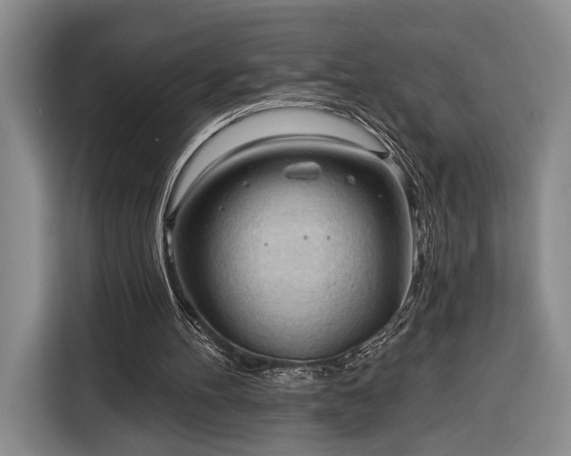 X0000116320100200912091027