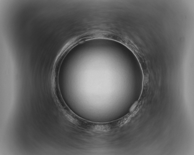 X0000116320101200912091027