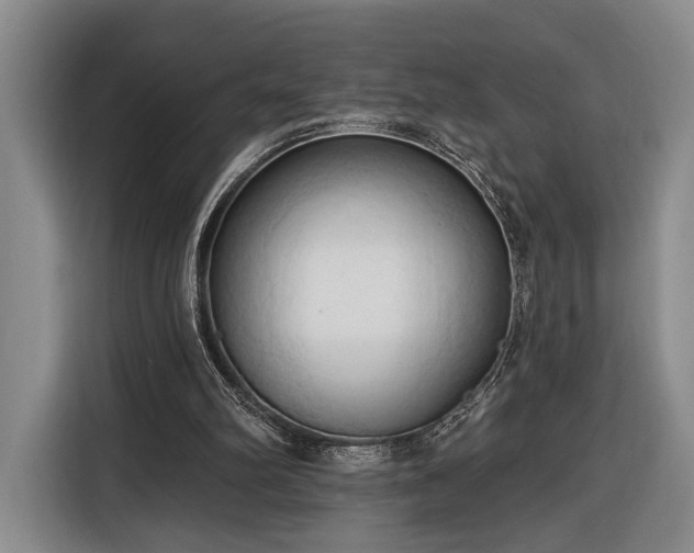 X0000116320102200912091027