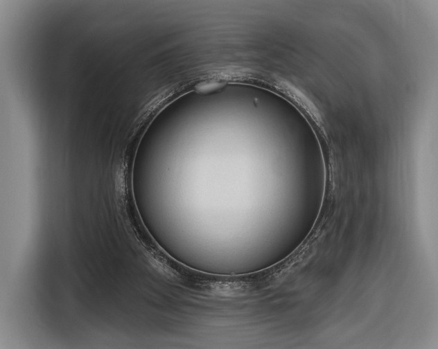 X0000116320105200912091027