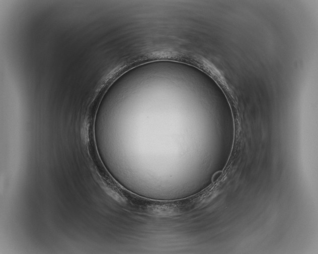 X0000116320106200912091027