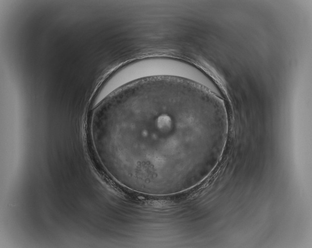 X0000116320107200912091027