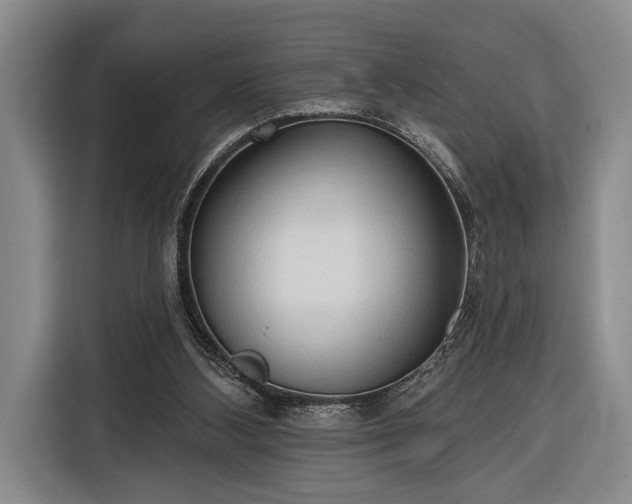 X0000116320108200912091027