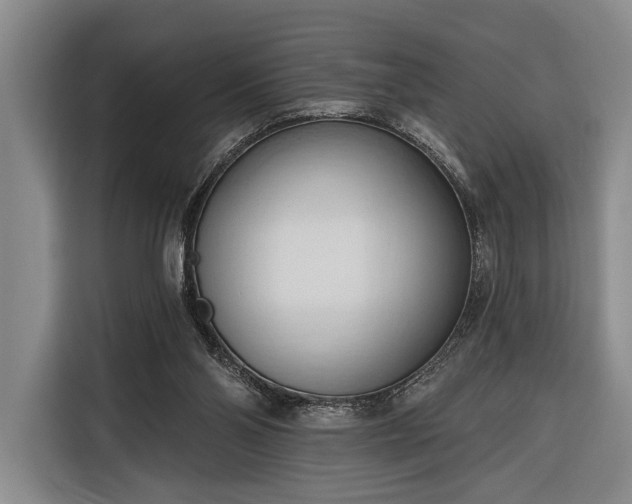 X0000116320110200912091027