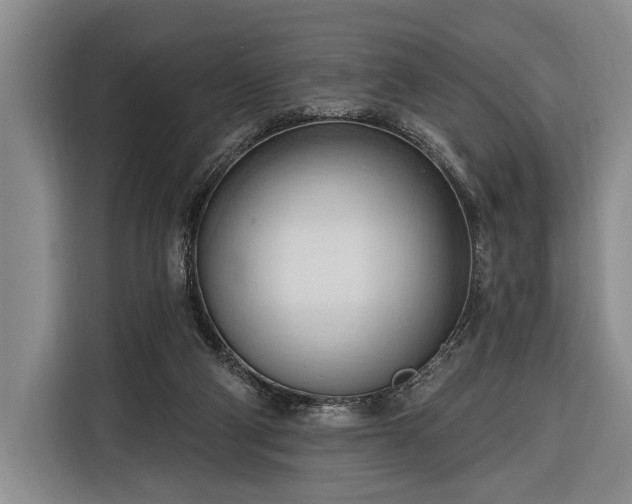 X0000116320114200912091027