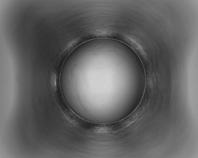 X0000116320115200912091027