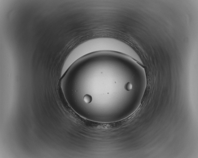 X0000116320124200912091027