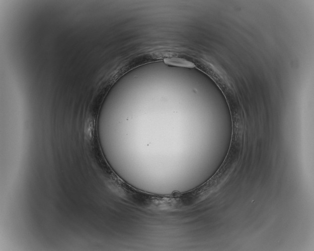 X0000116320125200912091027